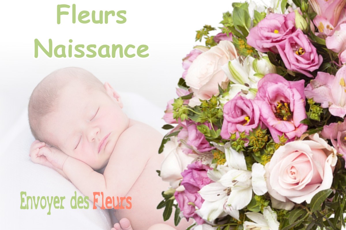 lIVRAISON FLEURS NAISSANCE à SAMPIGNY